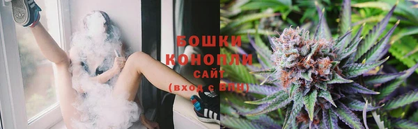 шишки Армянск