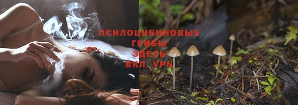 ешки Аркадак