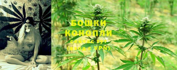 шишки Армянск