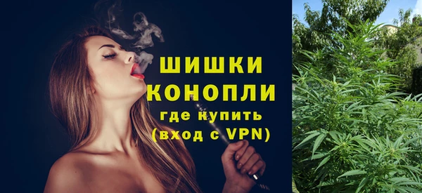 ешки Аркадак