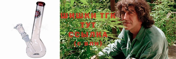 шишки Армянск