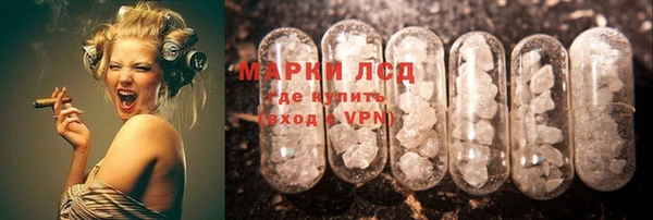 ешки Аркадак