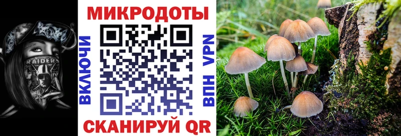 Псилоцибиновые грибы Magic Shrooms  Заозёрск 